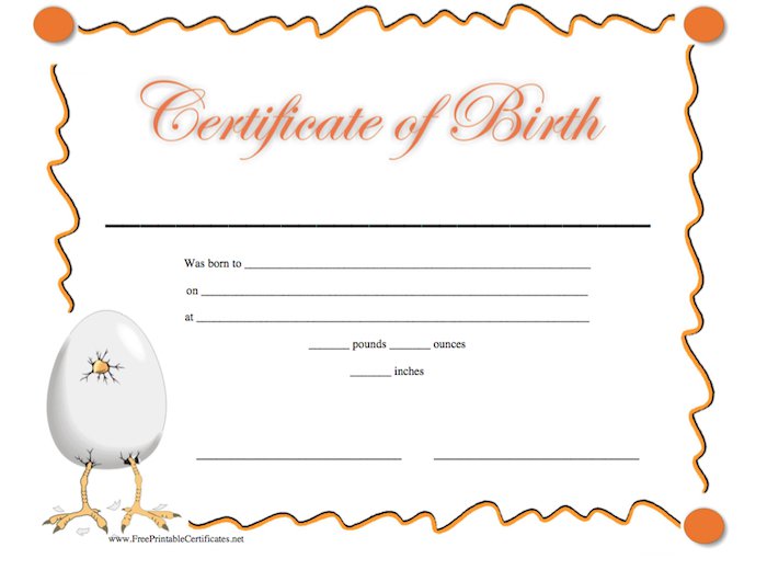 15 Birth Certificate Templates (Word & PDF) Template Lab 15 Birth Certificate Templates (Word & PDF) Template Lab