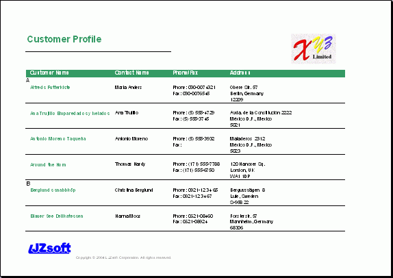 Customer Profile Template Word Wosing.us Template Design Customer Profile Template Word Wosing.us Template Design