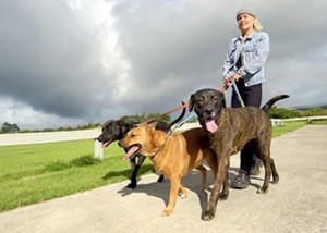 Pet Sitter Career Information IResearchNet Pet Sitter Career Information IResearchNet
