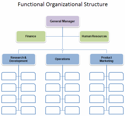 Free Organizational Chart Template Company Organization Chart Free Organizational Chart Template Company Organization Chart