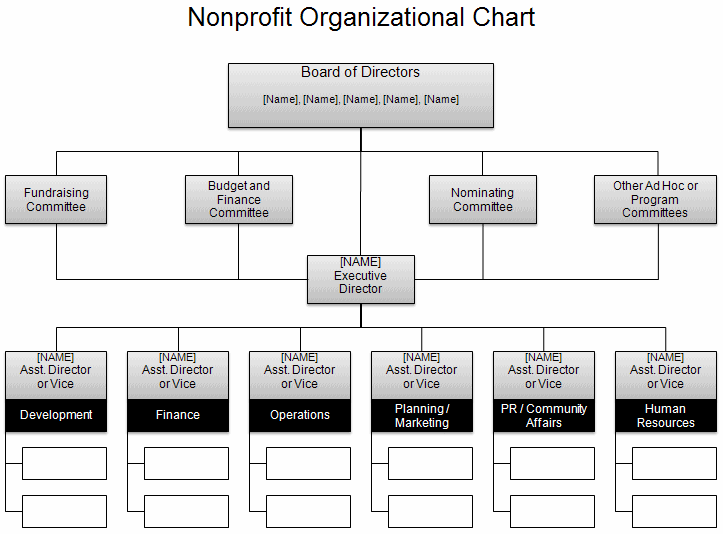 Free Organizational Chart Template Company Organization Chart Free Organizational Chart Template Company Organization Chart
